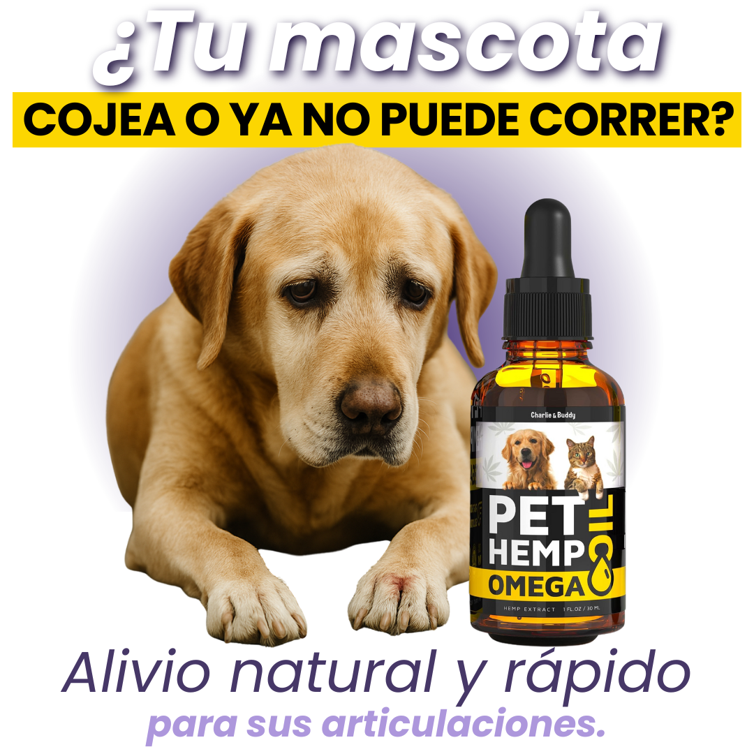 PET HEMP OIL | Multivitaminico Omega Mascotas