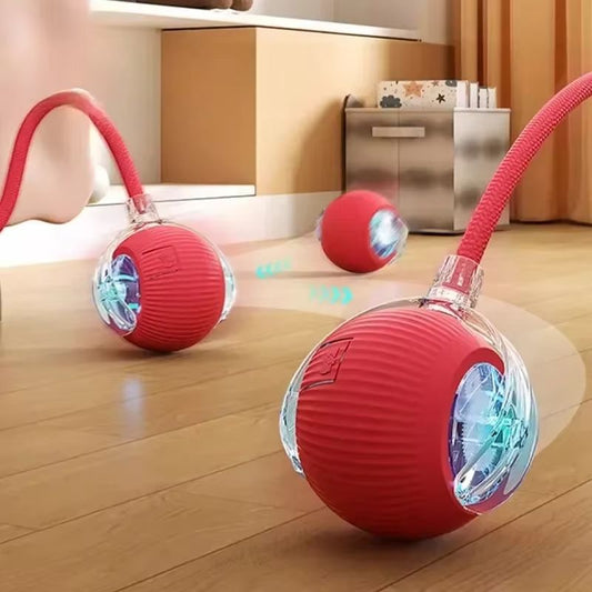 HappyPets | Pelota Automatica para Mascotas