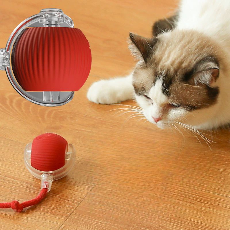 HappyPets | Pelota Automatica para Mascotas