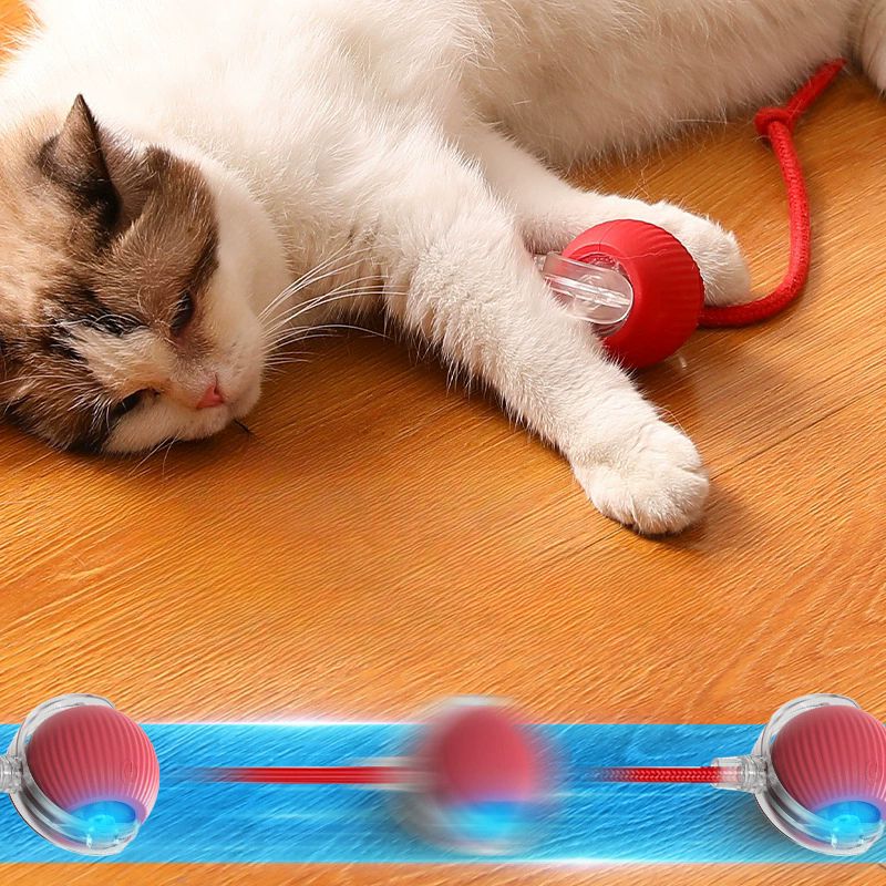 HappyPets | Pelota Automatica para Mascotas