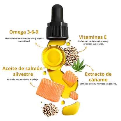 PET HEMP OIL | Multivitaminico Omega Mascotas