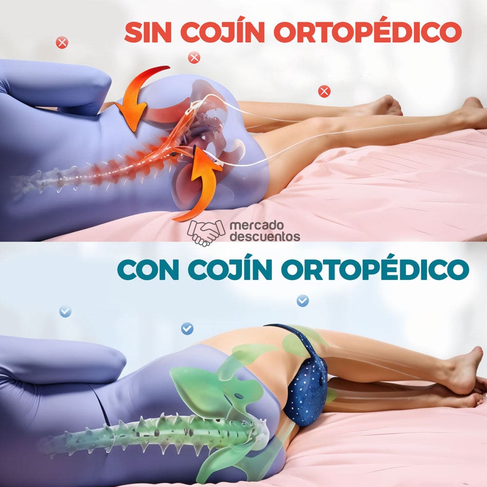 KIT DUERMEBIEN: Almohada Cervical Ortopedica + Cojin EntrePiernas